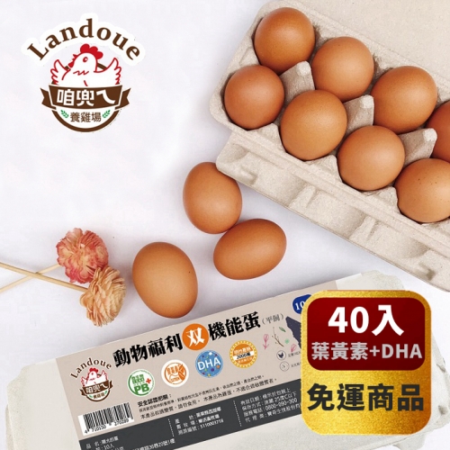 【寶奇】動物福利双機能機能蛋(葉黃素+DHA) 40入 *免運常溫*