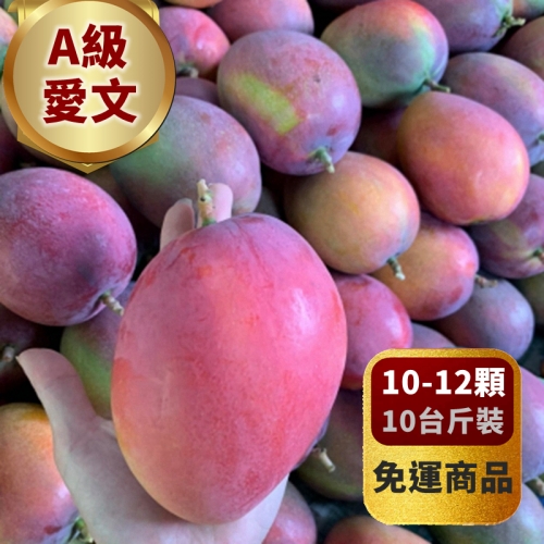 【產季已結束 嚴選外銷日本】 A級愛文芒果尊榮禮盒 (10台斤/箱 12粒裝) *免運常溫*