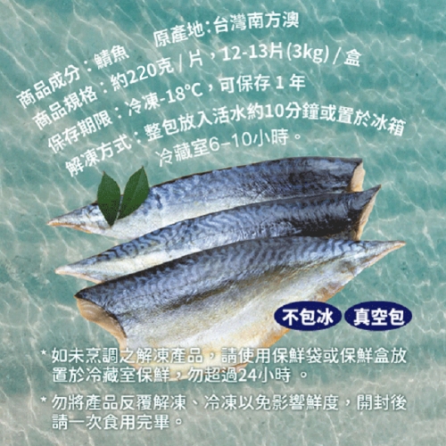 南方澳冬季現撈肥美鯖魚3kg盒裝(14-18片) *免運冷凍*